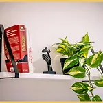 L'ecrin Du I I Apartamento Sévrier